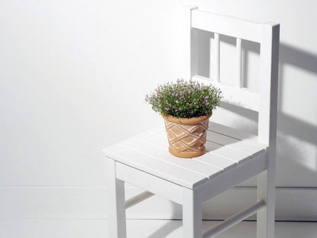 Home decorating flowers - white, nature, chair, cool, green, grass, cute