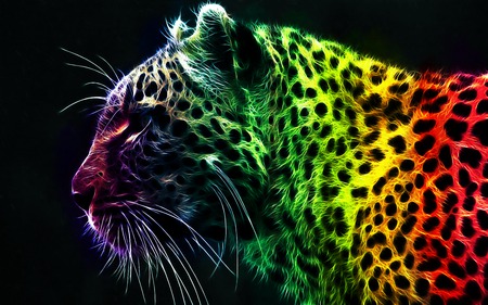 Rainbow Lepord - lepord, spotted, rainbow, wild, cat