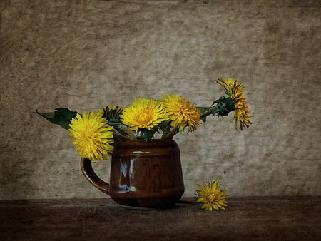 dandelion - yellow, rural, dandelion, simple, flower