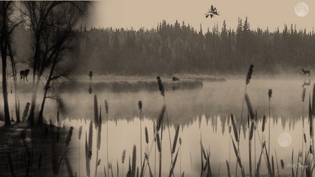 Watchers - moon, sky, trees, mystical, deer, widescreen, mist, wolves, pond, birds