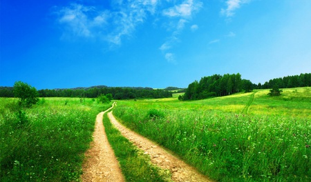 The pathway home - fields, sky, forest, blue, green