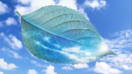 Leaf In The SKy - sky, clouds, leaf, 3d, abstract, blue