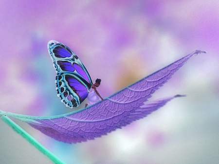 Violet Fairy - leaf, violet, fairy, fantasy