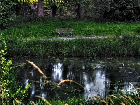 serenity - serenity, calm, pond, green