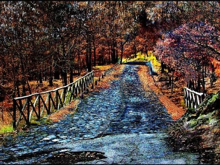 ROAD-OF-THE-FORESTER - fence, forester, trees, road