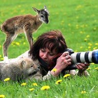 Animals Photographer