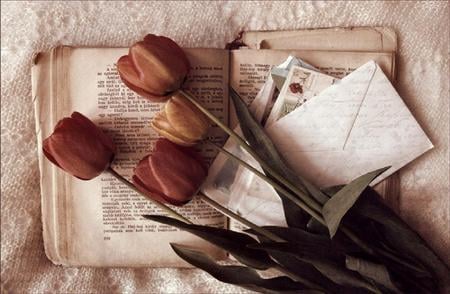 Sweet Remembrance - classic, letter, book, roses