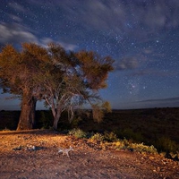 Night Landscape Tanzania