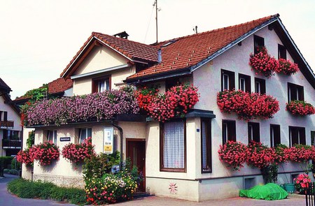 Love of flowers - white, windows, window boxes, red, house, flowers, fuchshia