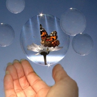 BUTTERFLY IN FLOATING BUBBLE