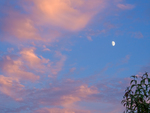 Solstice Sunset with Moon