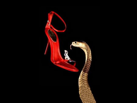 spiked - highheel, shoe, snake, red