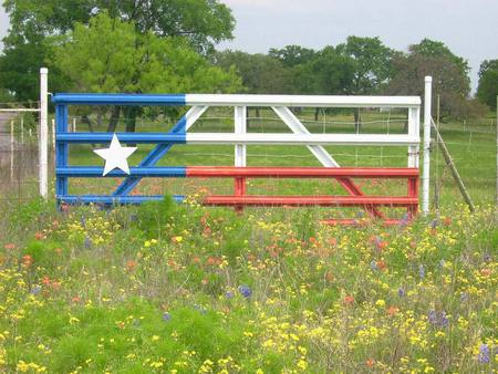 Flag and Flowers - nature, rural, wild, field, flowers