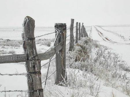 Texas Panhandle Winter - nature, fence, snow, winter, texas