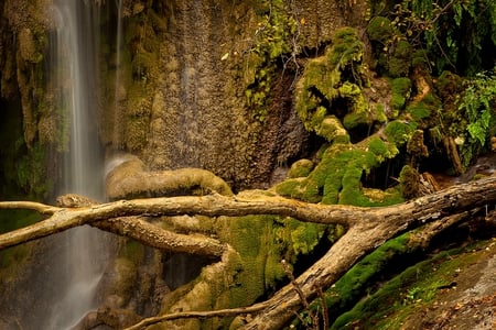 RAIN FOREST,TEXAS - falls, trees, branch, rain, texas, waterfalls, moss, forest, rock