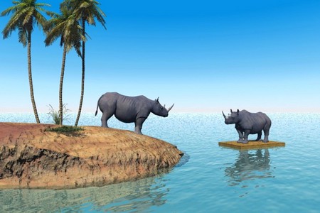 3-D Animals - animals, cool, picture, 3-d