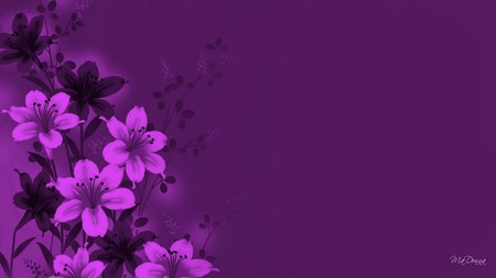 Florals in Magenta - widescreen, flowers, abstract, magenta, purple, firefox persona