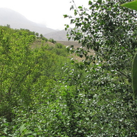 One of gardens in Mahdishahr