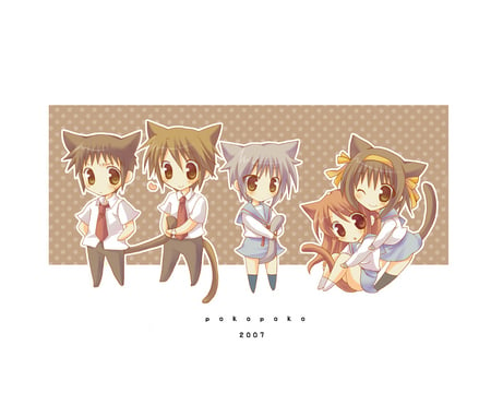 The Melancholy of Kitty Haruhi Suzumiya - kyon, yuki, haruhi suzumiya, anime, mikuru, itsuki