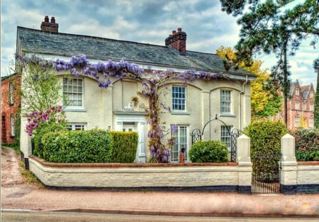 Romantic Getaway - clouds, trees, pavement, english cottage, wisteria, wall