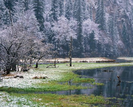 commencement du printemps - trees, winter, lake, spring, forest