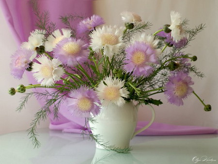 soft - fluffy, vase, white, soft, flower, pink, still life