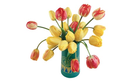 Beautiful Colouring - will, tulips, yellow, red