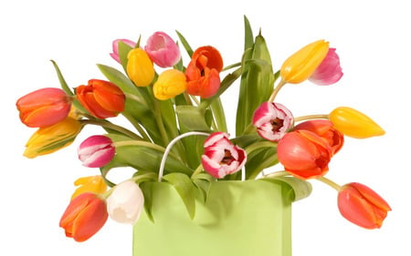 Colourful - tulips, bag, flowers, beautiful