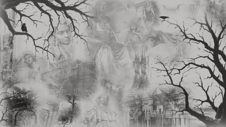 Yesterdays Gone - trees, goth, widescreen, dark, grey, memories, firefox persona, mysterious, gray