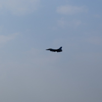 harrier?