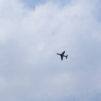 Raf Hawk