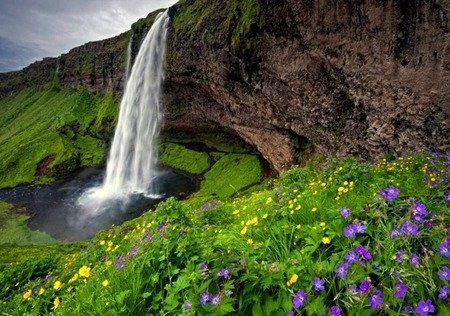 Summer Falls - hills, yellow flowers, mountain, water, rock, flowers, waterfall, purple flowers