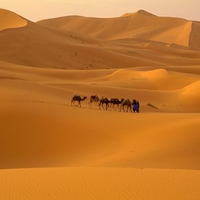 Sahara desert