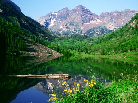 Amazing forest - nature, lake, forest, mounntain