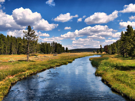 grizzly river - sky, shoreline, grass, river