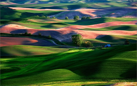 Rolling Fields - nature, colorful, fields, hills