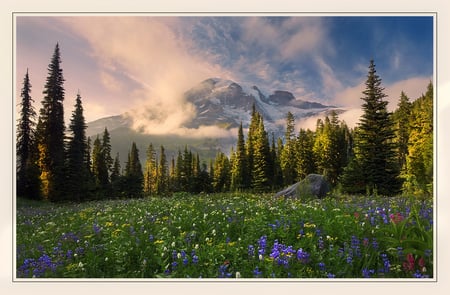 In God's Garden - mountains, nature, sky, fields