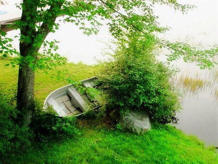 Boat by the lake - lake, water, grass, boat