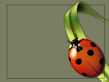 Lady bug - black, square, red, green, gray, leaves