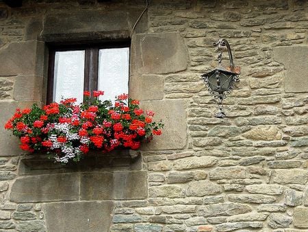 Alfizar - house, flowers, street lamp, window