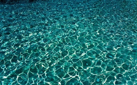 Kandooma-net - net, waters, kandooma, clear, sea