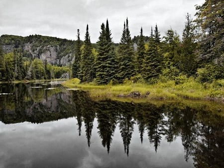 Mirrored-Magnificence - lake, trees, green, mirrored, magnificence