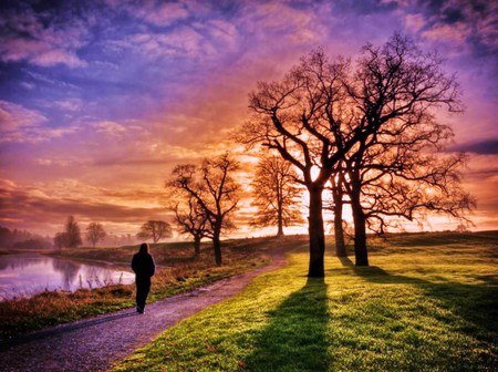 Quiet time - clouds, trees, grass, morning, sky quiet, walk, misty, woman, lake