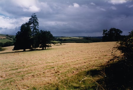 Wheatfield Without Crows - sky, mown hay, field, trees, england, somerset, eerie