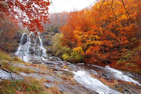 Waterfall - picture, waterfall, autumn trees, beautiful