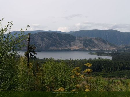 the mountains - nature, sky, lake, trees, mountains, grass