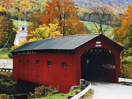 the road bridges - sky, fall, trees, road, bridges, grass