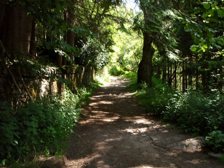 Mossy Walls - shade, moss, path, walls, dappled