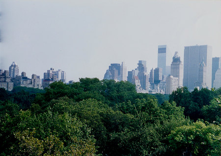 Central Park, Manhattan, New York City - central park, usa, manhattan, new york