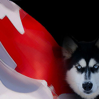 Celebrate Canada on July 1st